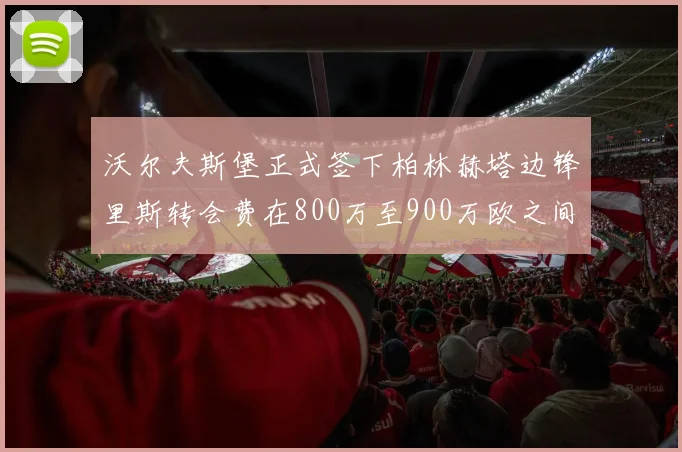 沃尔夫斯堡正式签下柏林赫塔边锋里斯转会费在800万至900万欧之间