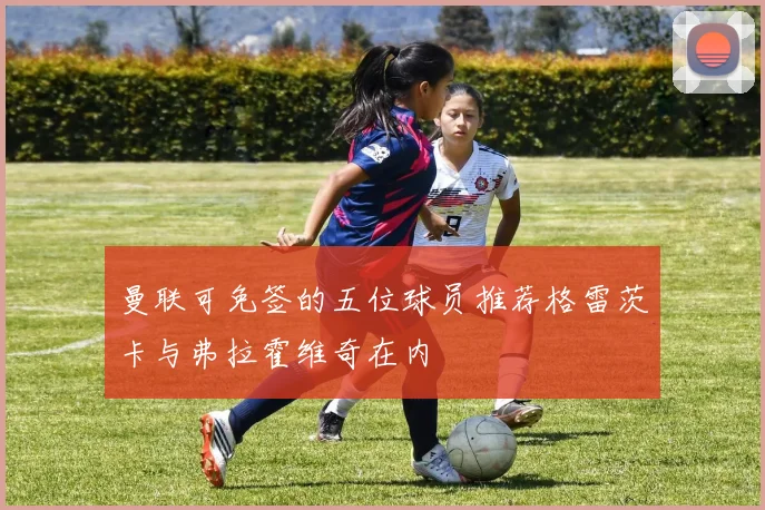 曼联可免签的五位球员推荐格雷茨卡与弗拉霍维奇在内